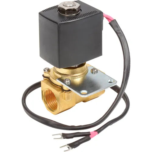 Replacement Solenoid Valve Assembly 110V - 641250, 261990, 641745